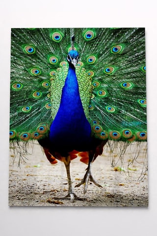 Quadro - 40 x 28 cm