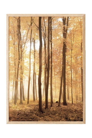 Quadro - 50 x 70 cm