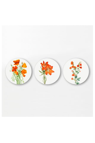 3 quadri - 3 x (30 x 30 cm)
