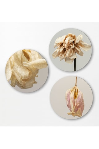 3 quadri - 3 x (30 x 30 cm)