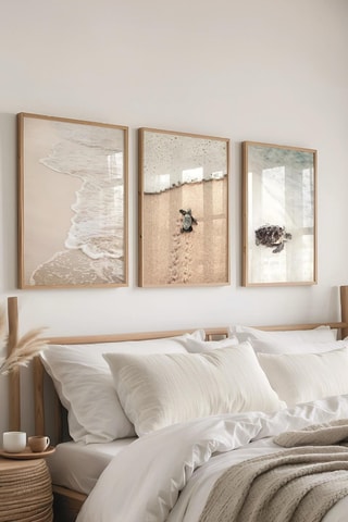 3 quadri - 30 x 40 cm