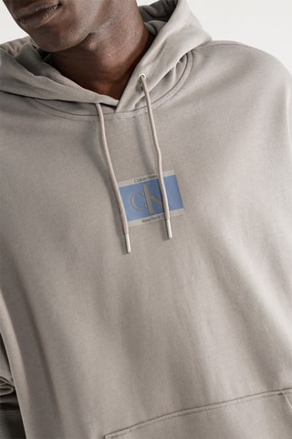 Sweat à capuche - Gris
