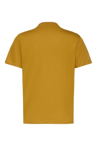 T-shirt - Moutarde