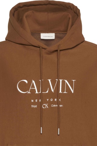 Sweat à capuche - Marron clair