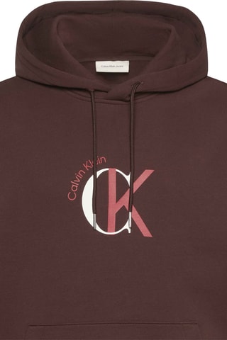 Sweat à capuche - Marron