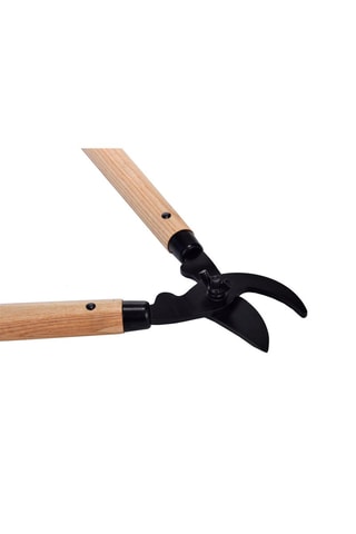Coupe branche en frêne