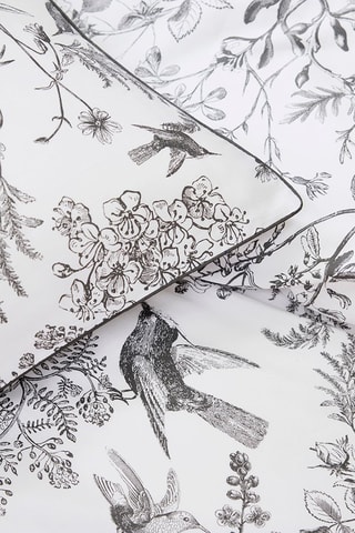 Taie de traversin en satin de coton 80 fils/cm² Colibri botanique - Noir et gris