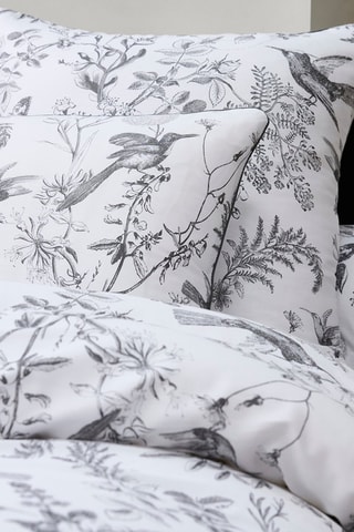 Taie de traversin en satin de coton 80 fils/cm² Colibri botanique - Noir et gris