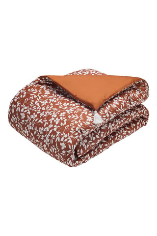 Edredon en satin de coton 47 fils/cm² - Marron