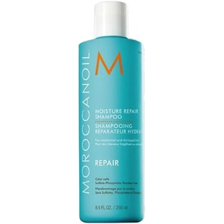 Shampoing réparateur - Huile d'argan - Cheveux abîmés - 250 ml