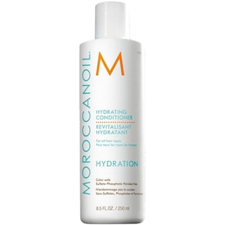 Après-shampoing hydratant - Huile d'argan - 250 ml
