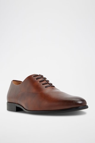 Oxford Singleton - Cammello