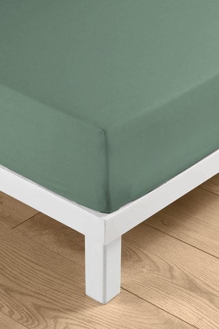 Drap-housse en coton 57 fils/cm² Linella - Sauge
