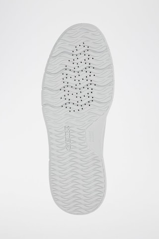 Derbys Errico - Gris