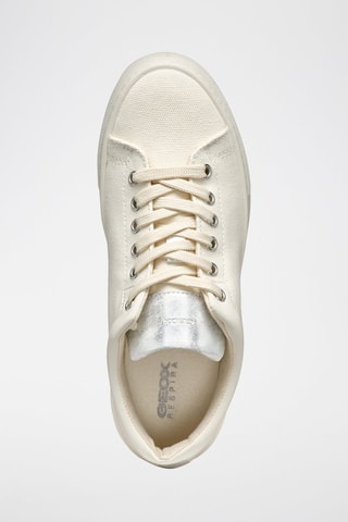 Tenis Claudin - Crudo