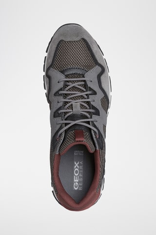 Zapatillas Doray - Gris