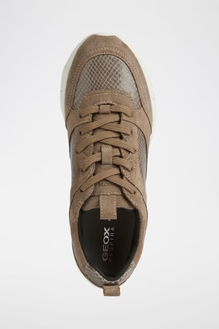 Zapatillas de piel Sukie - Beige oscuro y topo