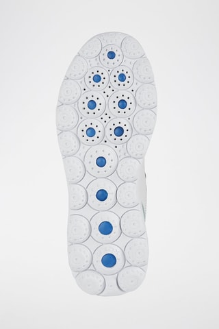 Zapatillas de piel Spherica - Verde agua