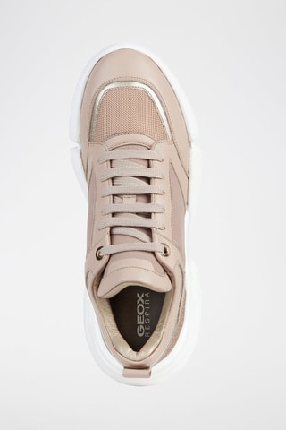 Baskets en cuir D Adacter - Nude