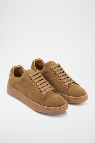 Baskets en nubuck Regular - Marron