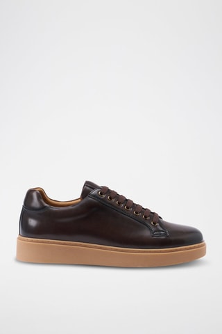 Baskets en cuir Regular - Marron