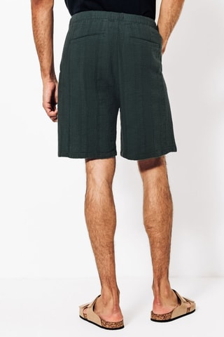 Bermuda - Vert