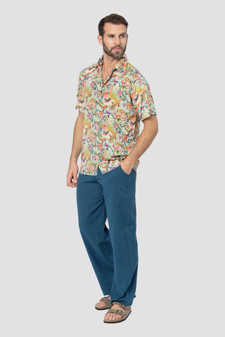 Overhemd - Blauw en groen
