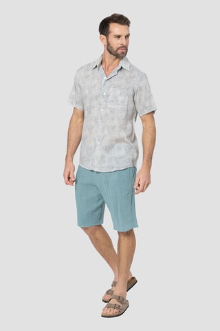 Chemise regular - Blauw en wit