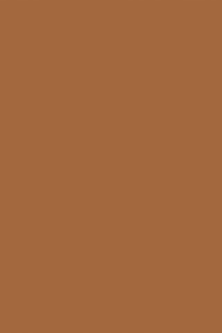 Crème teintée Juicy Fizz Hydra Shield Skin Tint - 06 chocolate - 28 ml