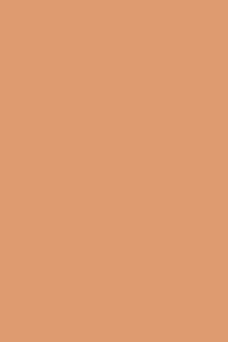 Fond de teint poudre compacte Juicy Fizz Summerproof spf 50 06 - 06 caramel - 9 g