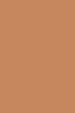 Fond de teint poudre compacte juicy fizz summerproof spf 50 07 - 07 Hazelnut - 9 g