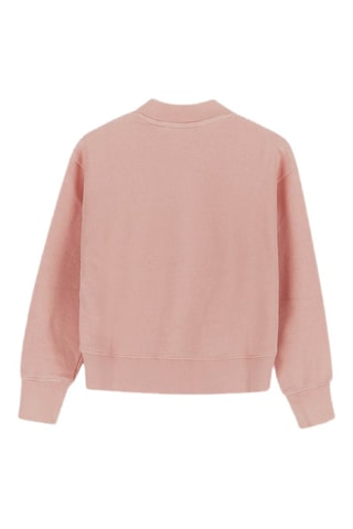 Sweat - Rose
