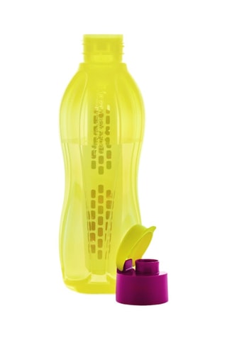 Infuseur de fruit pour bouteille Eco