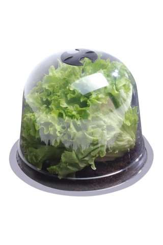 12 proteções para a horta - 25,5 x 20 x 25,5cm