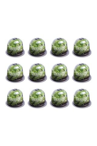 12 proteções para a horta - 25,5 x 20 x 25,5cm