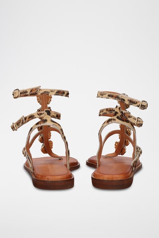 Spartiates - Marron et beige