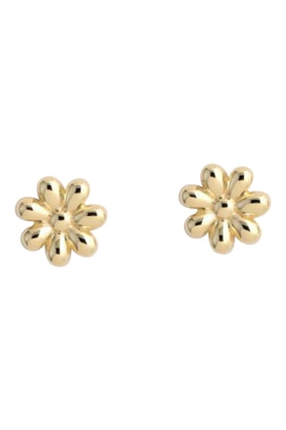 Puces - Argent