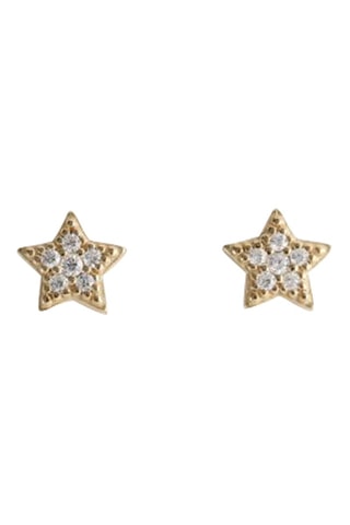 Puces - Argent