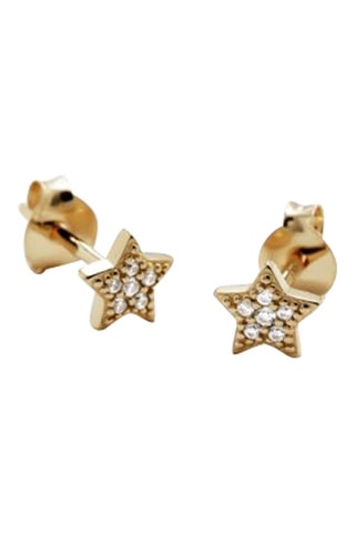 Puces - Argent