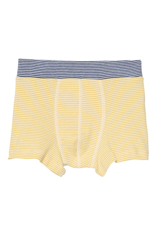Boxer - Jaune