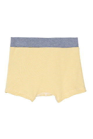 Boxer - Jaune