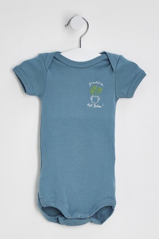 Body - Bleu-gris