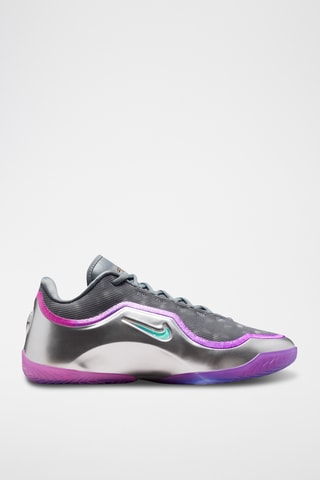 LeBron James - Gris et violet