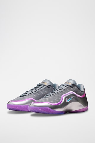 LeBron James - Gris et violet