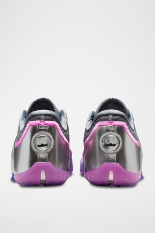 LeBron James - Gris et violet