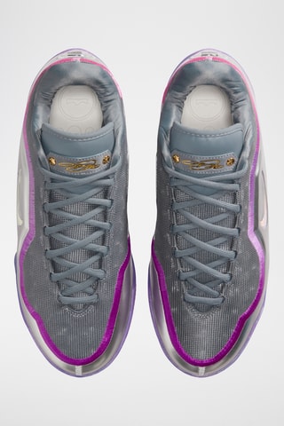 LeBron James - Gris et violet