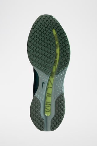 Nike Pegasus Premium - Vert d'eau