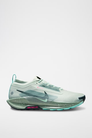 Nike Pegasus Trail 5 Gore-Tex - Gris clair et vert d'eau