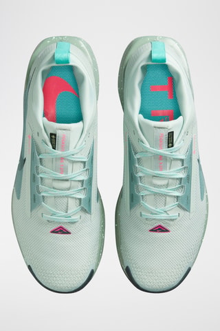 Nike Pegasus Trail 5 Gore-Tex - Gris clair et vert d'eau