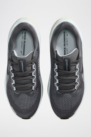 Nike Pegasus 41 - Gris clair